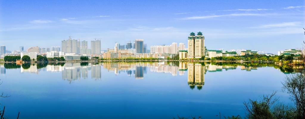 and Wuhan municipa
