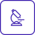 2025-05-26